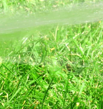 Water sprinkler spraying water on a green lawn.
