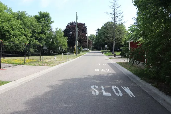 A view of napier street's "40 max slow" verbiage on the road.