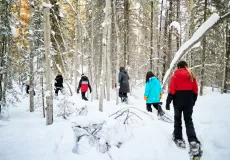 A group of six young adults snowshoeing while walking through a snow-covered forest with tall trees in the background