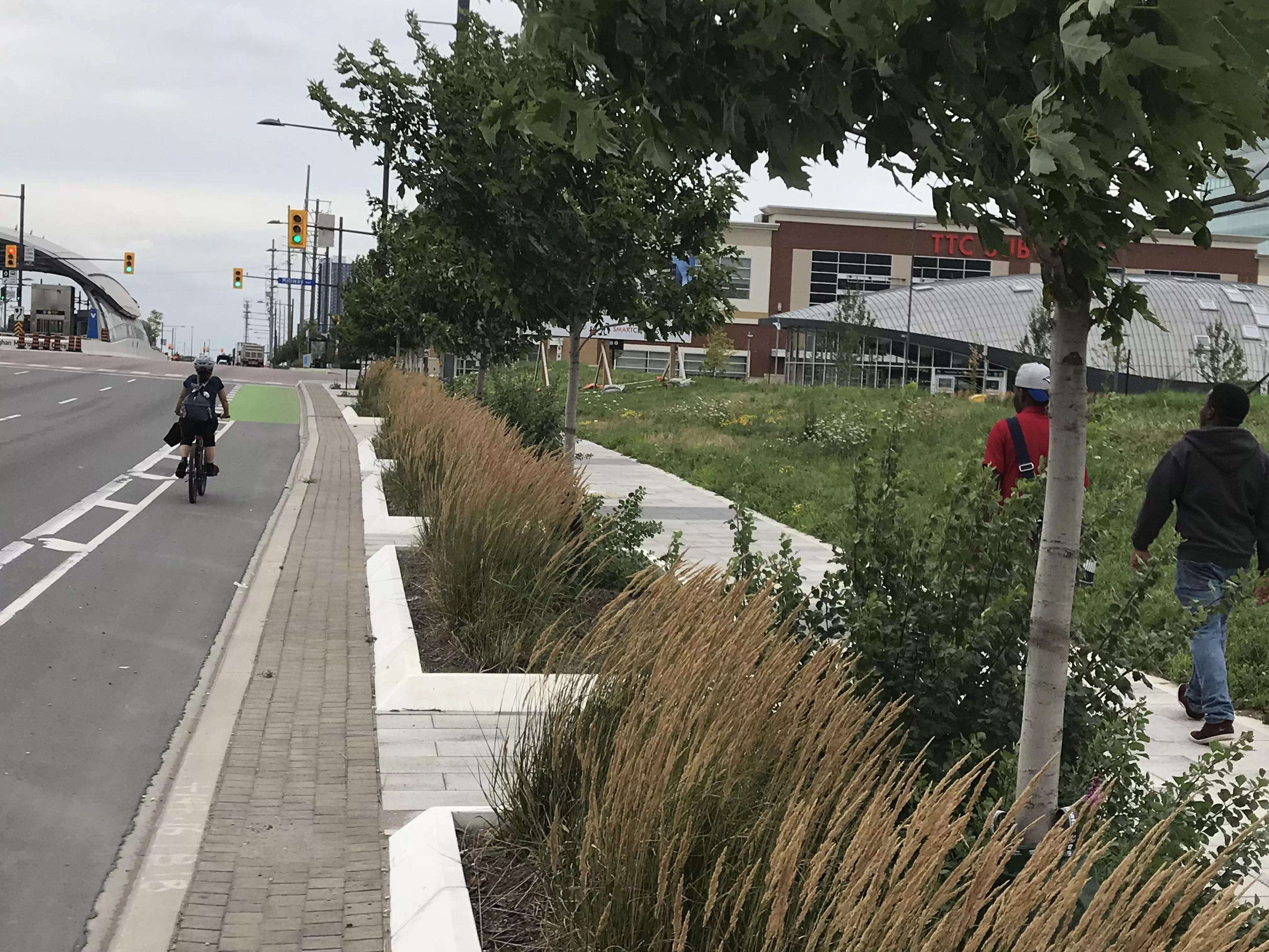Cyclist riding bike in designated bike lane
