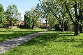Picture of Jersey Creek Neighbourhood Walk