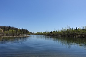 Picture of Peter Rupert Neighbourhood Walk