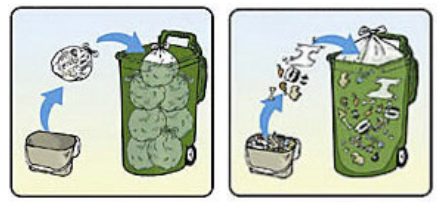 A graphic displaying two options of how to dispose of green bin items.