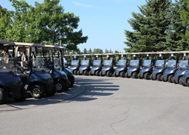 Many golf carts lined up.