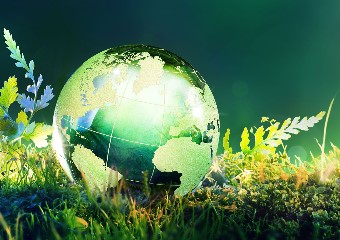 Green shiny globe on grass and moss
