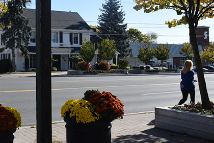 Street, homes, trees, planter boxes and a woman walking.