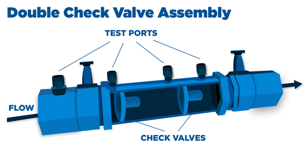 picture of a double check valve assemply
