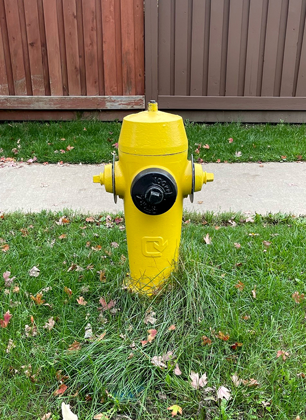 Yellow fire hydrant in grass 