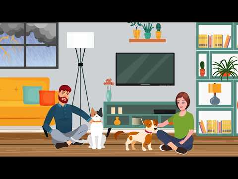 Play video: Prepared Together: Pets in Emergencies