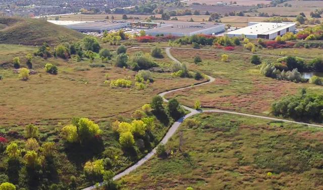 Aerial view of green woods and land