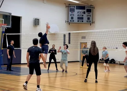 Sports Leagues