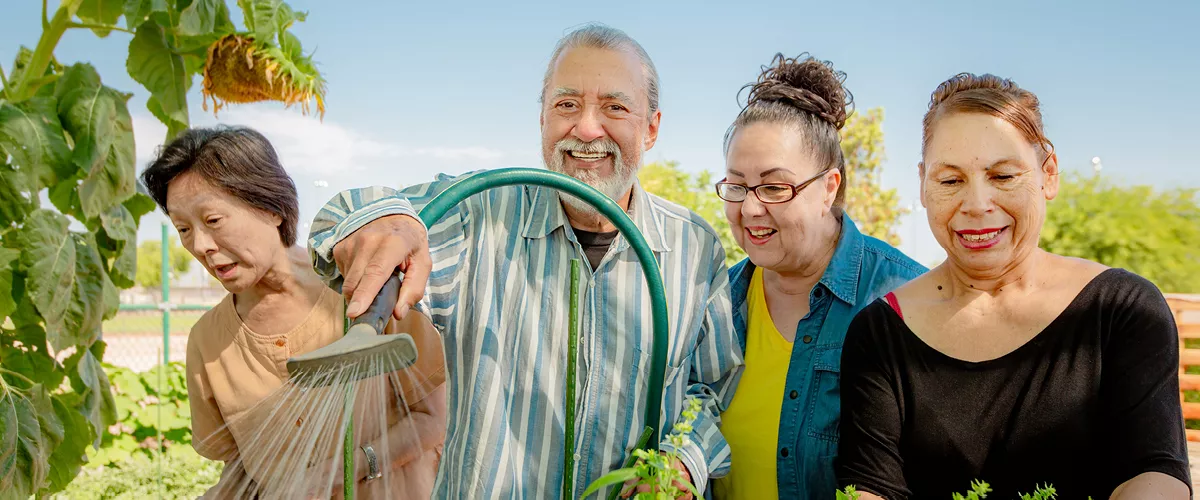 A group of people holding an active watering hose.