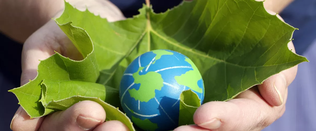 Two hands holding a leaf and small globe.