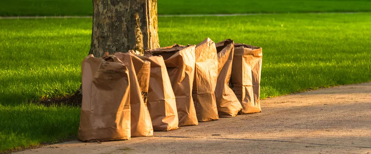 A group of paper waste bags lined up.