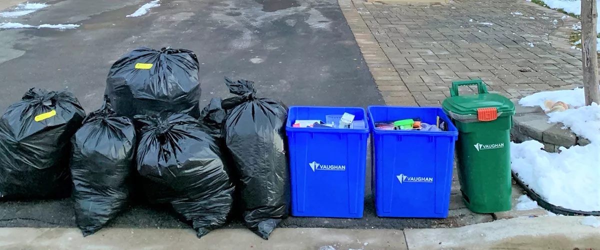 Garbage bags, blue recycling bins and a green bin lined up on the curb.