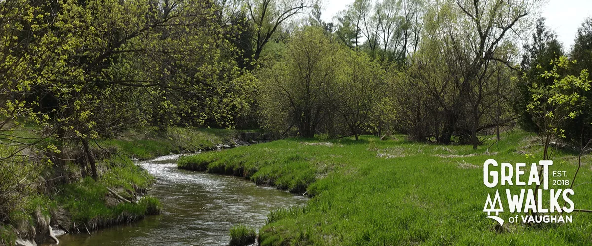 A stream of water near William Granger Greenway.