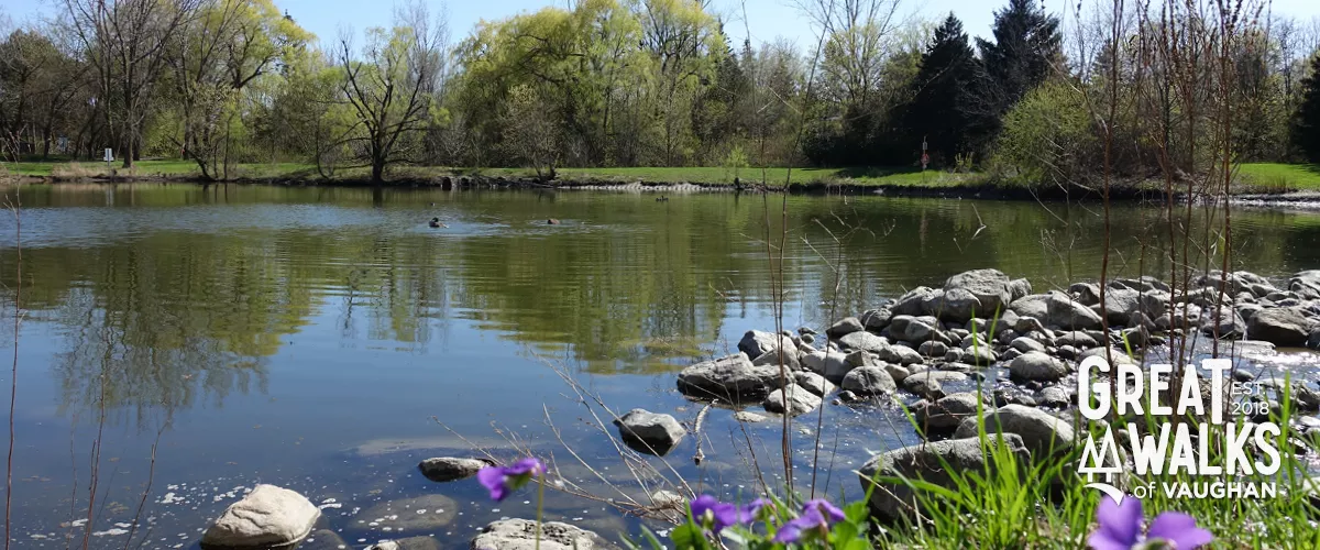 A pond near Marita Payne Neighbourhood Walk.