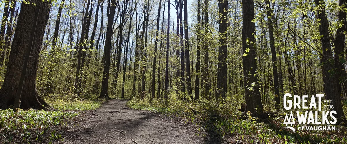 Sugarbush nature walk.