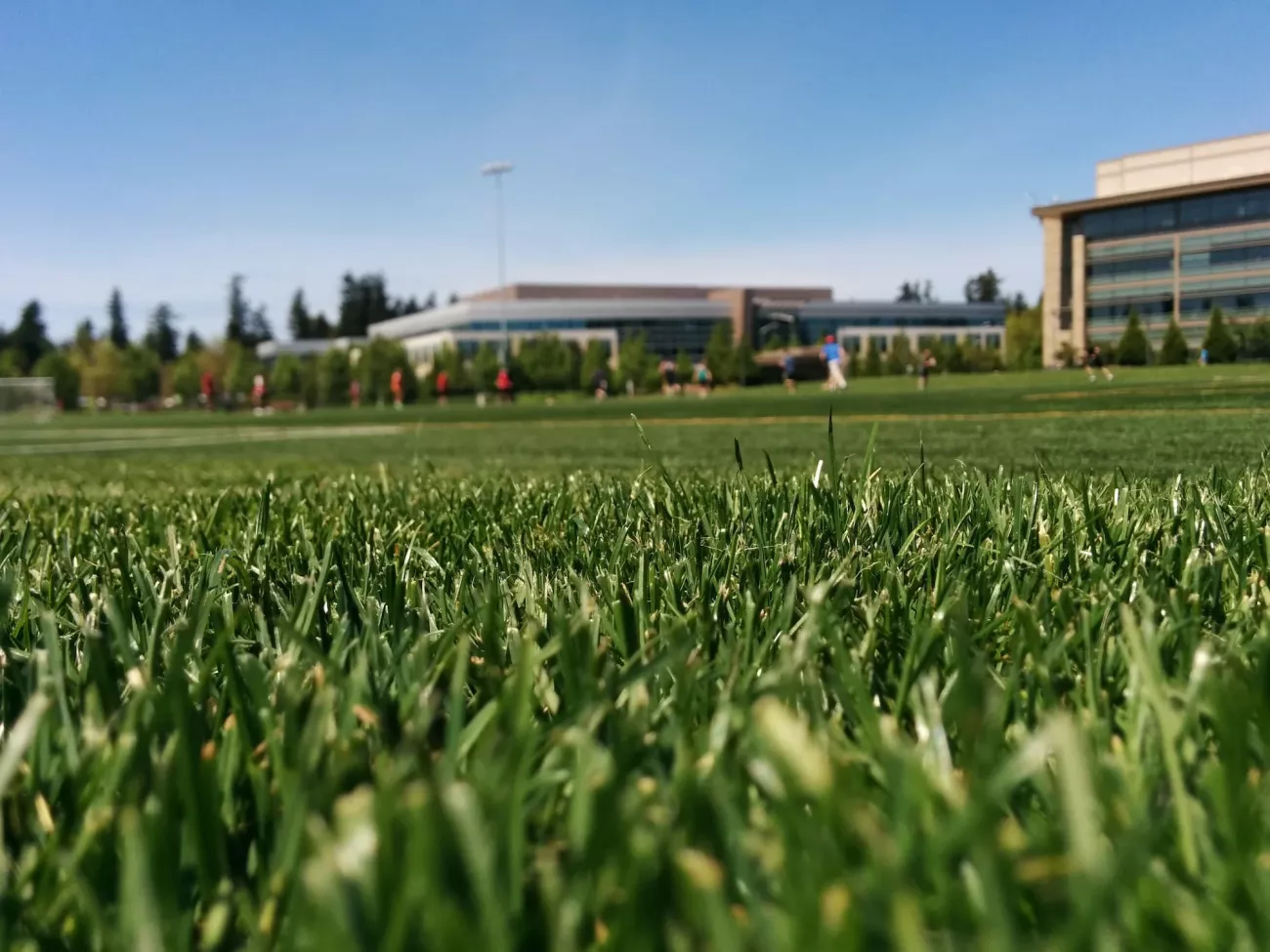 A green, grassy sports field.