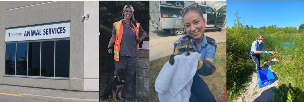 Animal Services building and staff holding a dog, a raccoon and looking for something at a pond