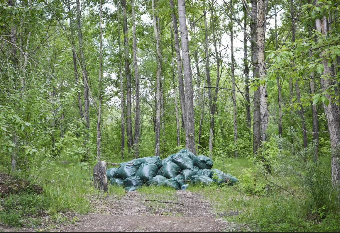 Bags dumped in the forest