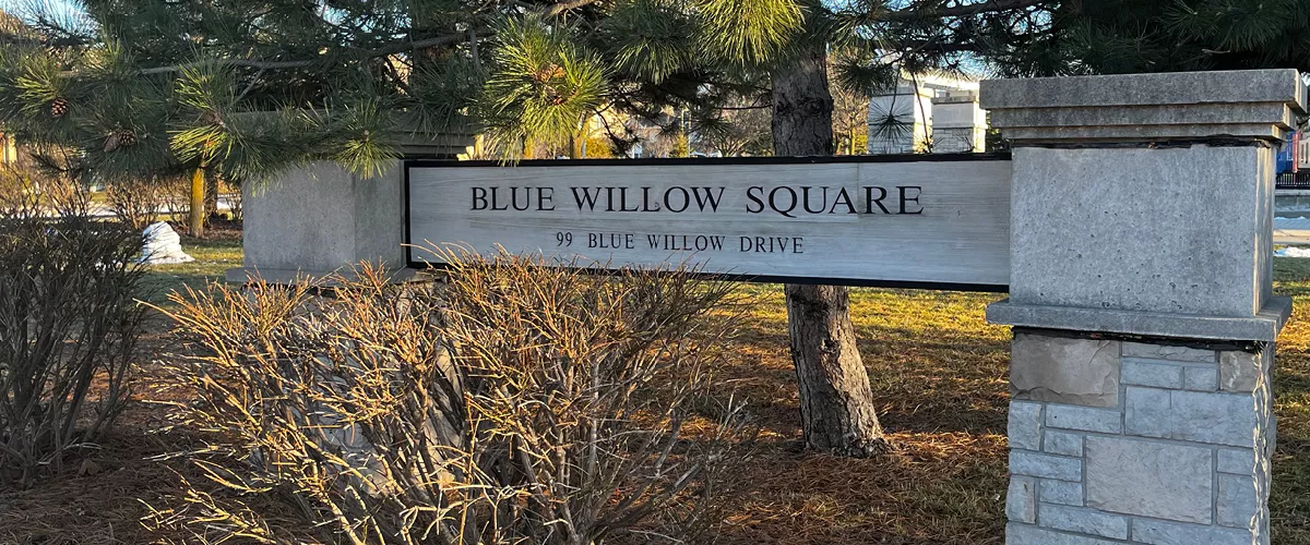 Blue Willow Square Banner Image 