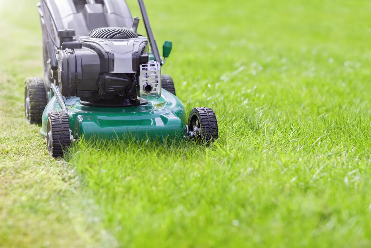 Lawnmower mowing grass