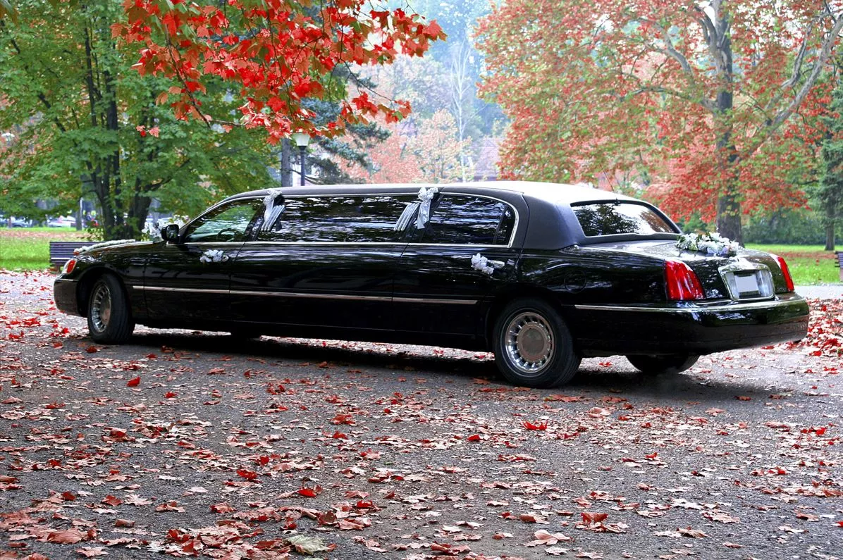Limousine stopped on road near park covered in red leaves