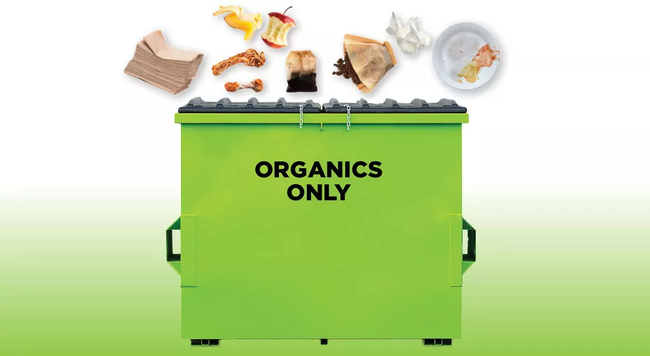 a green bin with organic items