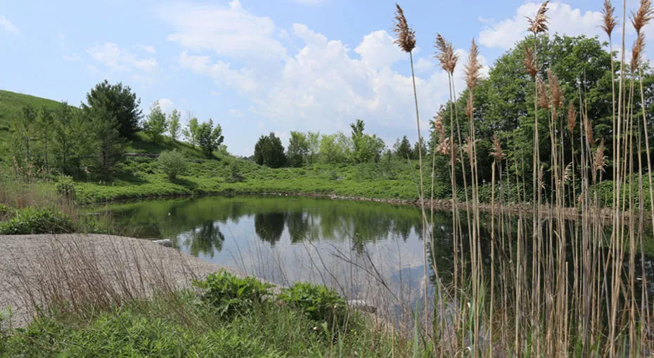 a stormwater pond