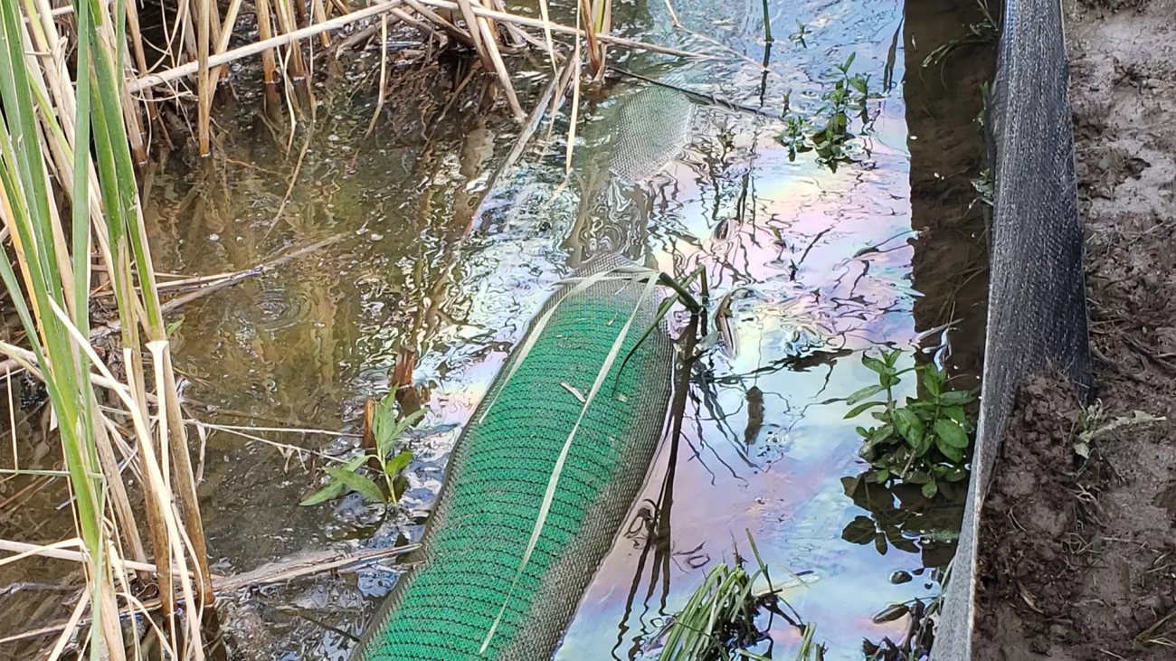 an environmental spill in a body of water