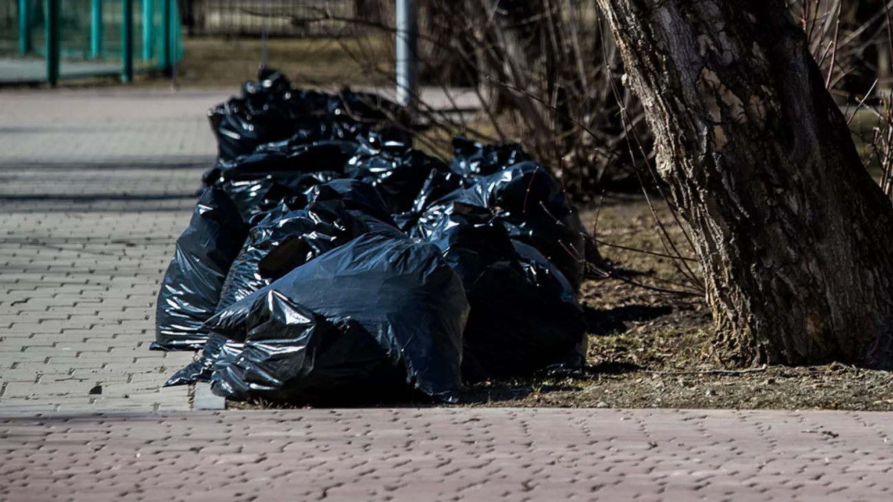 Garbage bags in a park