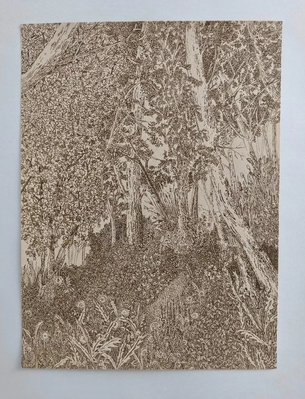 Image of a pencil drawing of a wooded area 