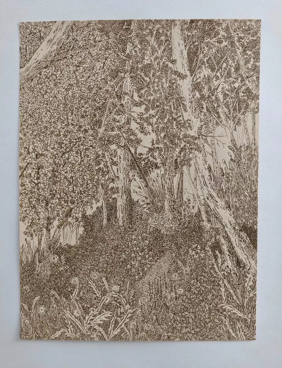 Image of a pencil drawing of a wooded area