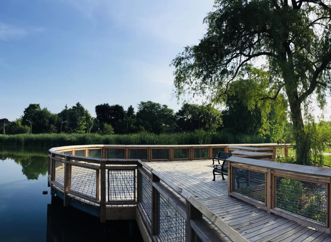 Image is of Oakbank Pond in Vaughan