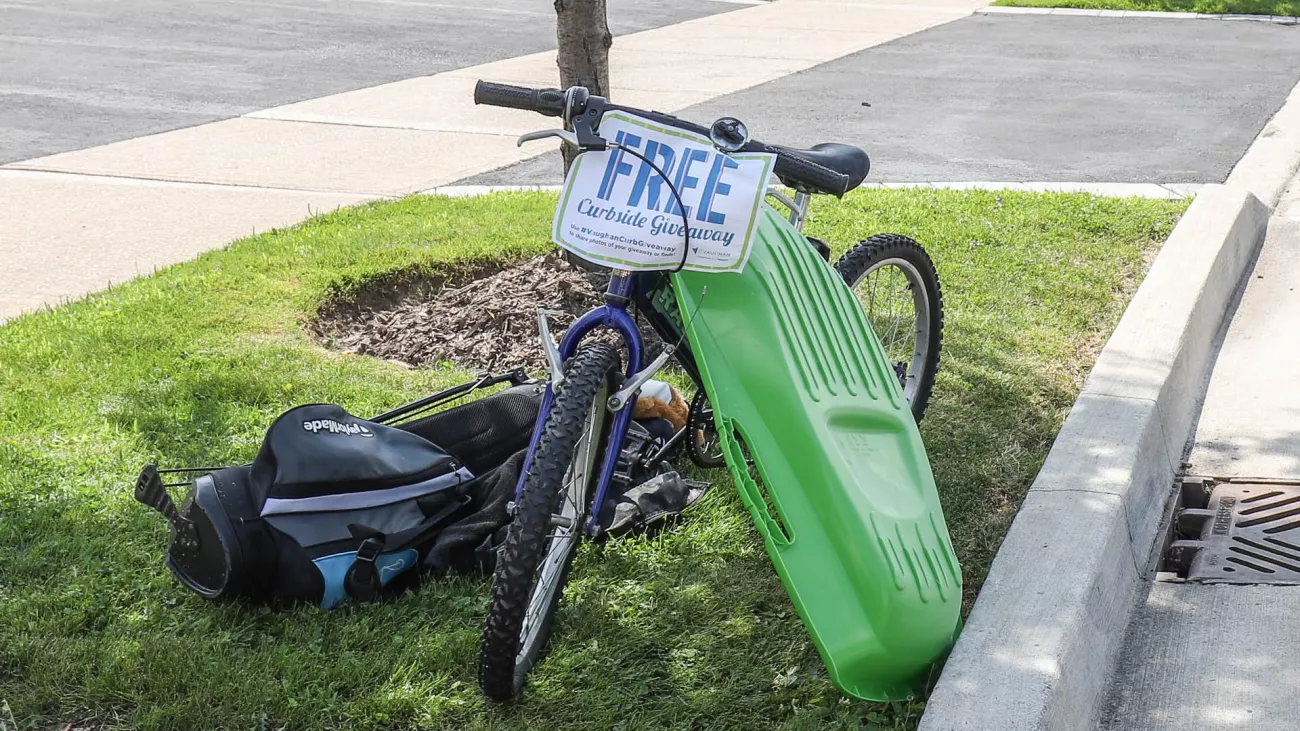 golf club bag, bicycle and green tub at the curb