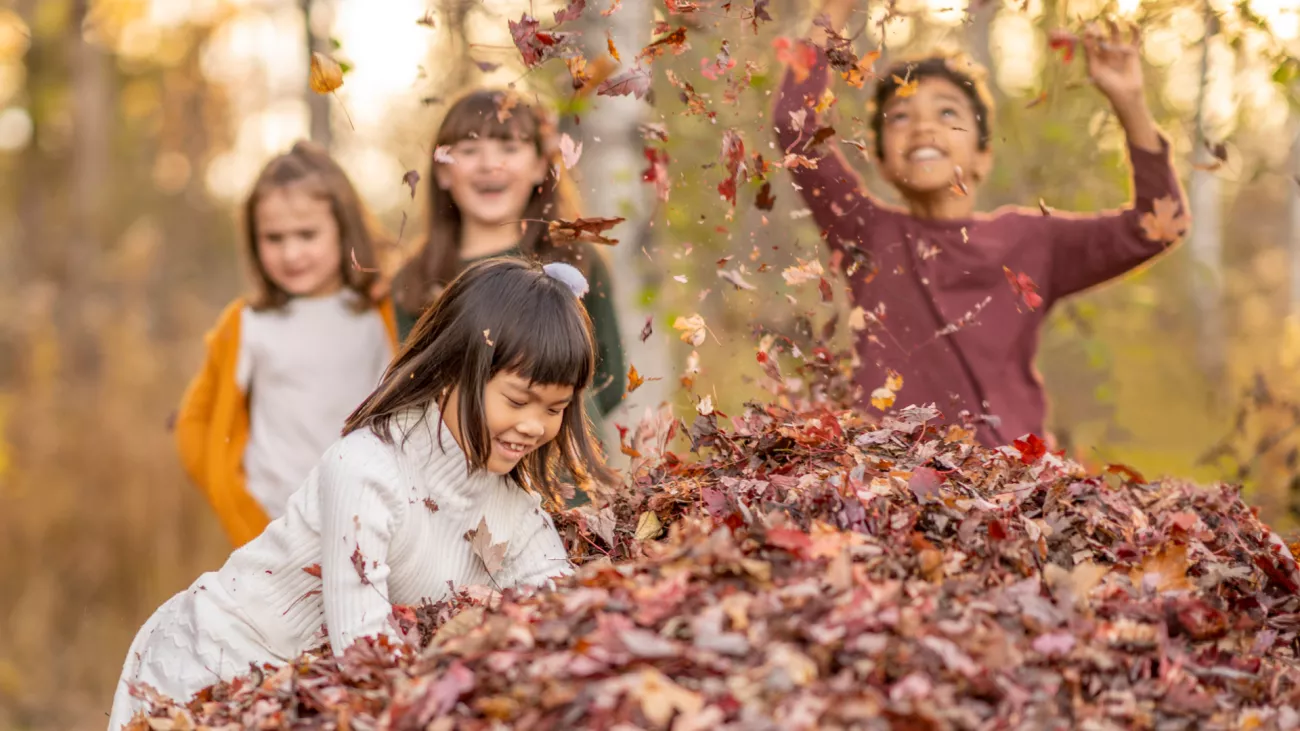 Four kids playing in a pile of leaves on the ground