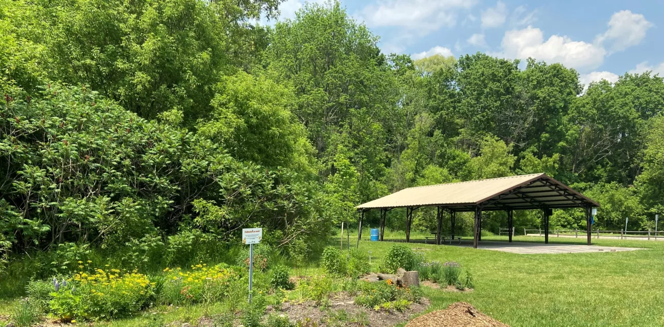Image is of Doctors McLean District Park in Ward 2. This image shows a shade structure and greenery that is currently within the park. 