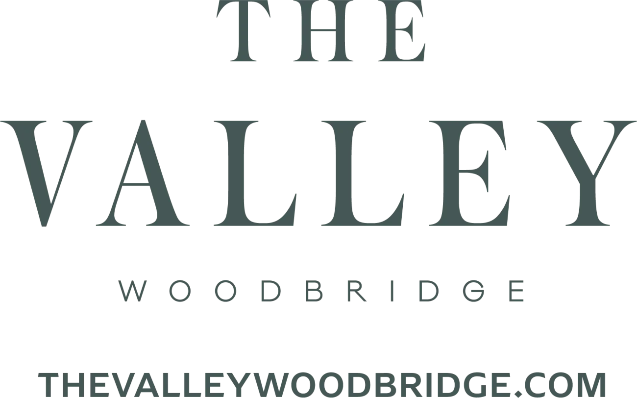 recevents_thevalley_logo