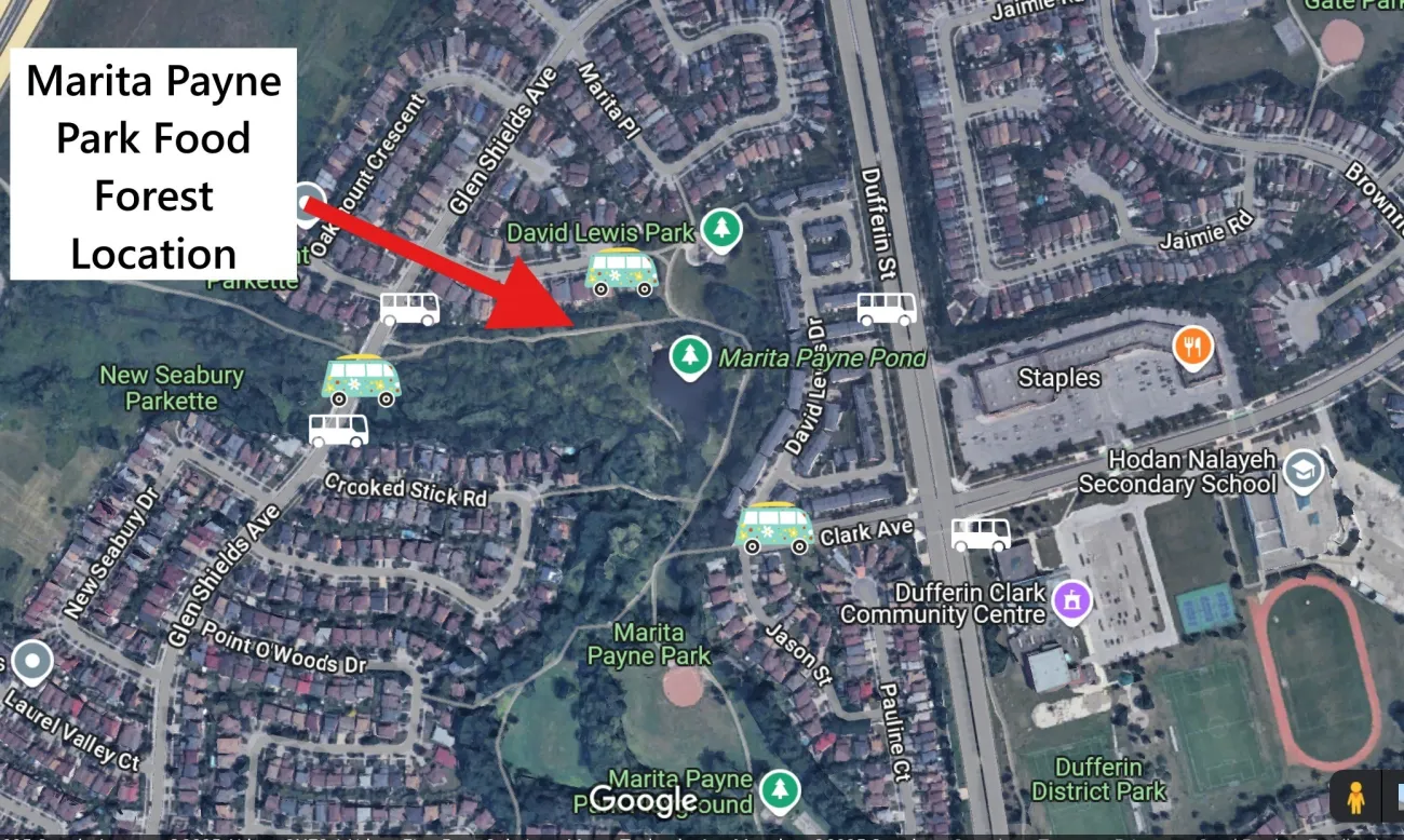 Map of a park