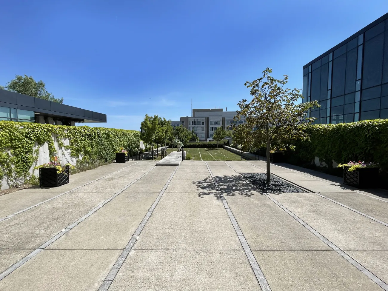 Image of the garden outside of the Garden Room at Vaughan City Hall.