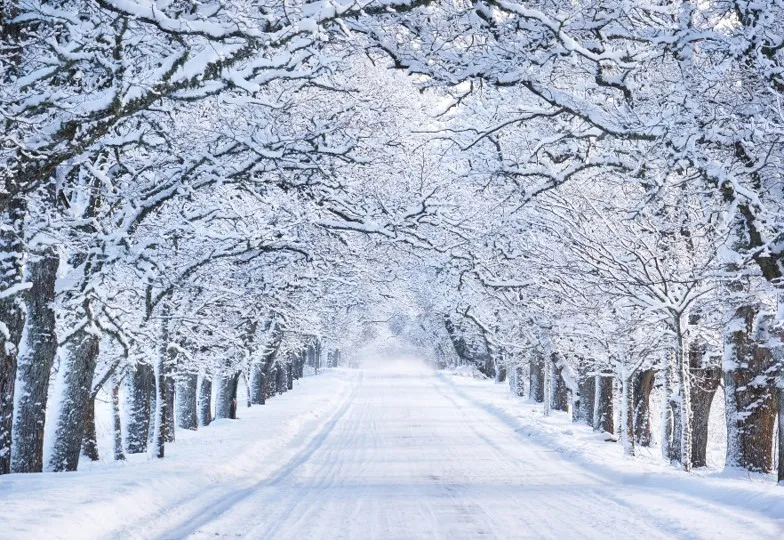Snowy street