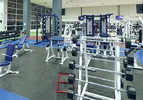 Picture of Al Palladini fitness centre