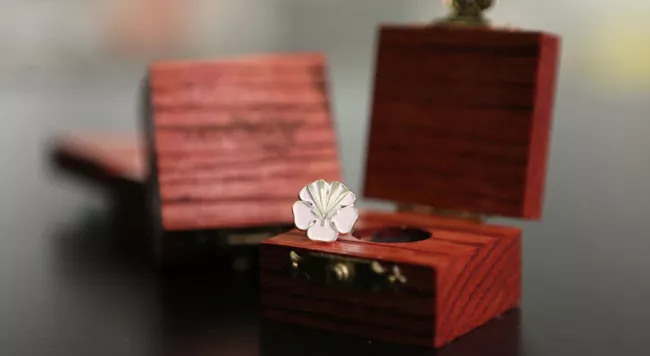 Order of Vaughan pin in wood box