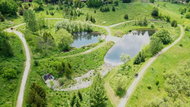 a bird's eye view of a stormwater pond and surrounding trees