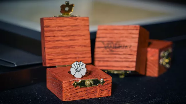 Order of Vaughan pin