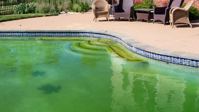 a green swimming pool