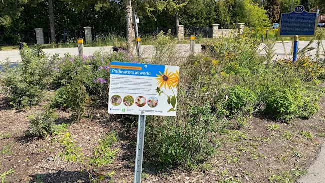 A "Pollinators at work" sign in a park