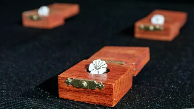 Order of Vaughan