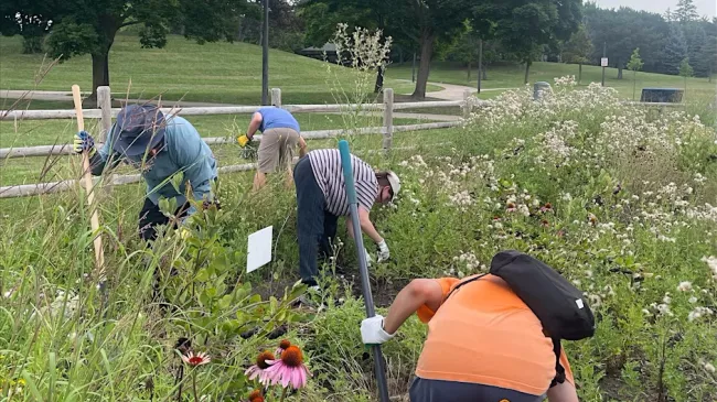 Group of people gardening in a park